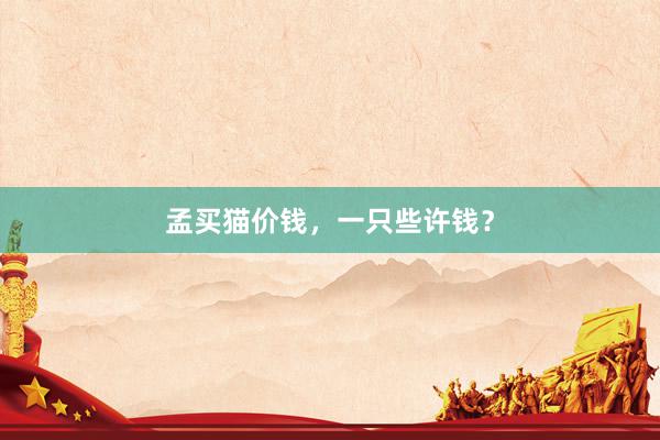 孟买猫价钱，一只些许钱？